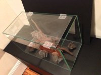 IMG_1269.jpg
