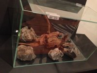 IMG_1270.jpg
