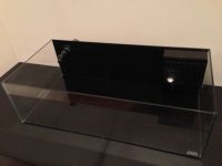 IMG_1278.jpg