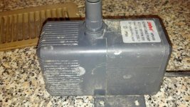 884507_10200208668112307_2082322507_o.jpg