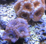 IMG_1004.jpg
