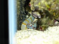 DSC01440.JPG