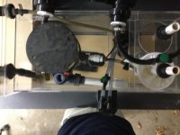 Top view.jpg