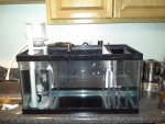 20120903_195403.jpg