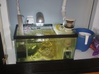 IMG_0892.jpg