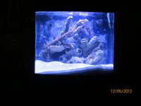 BIO 3 5-12-12.JPG