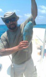 ImageUploadedByReefs1336506056.175333.jpg