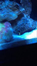 ImageUploadedByTapatalk1350608830.181838.jpg ImageUploadedByTapatalk1350608830.181838.jpg