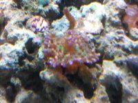 IMG_20130121_123031.jpg