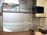 DSC05554.jpg
