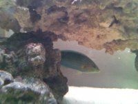 IMG_20130125_135202.jpg