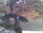 IMG_20130125_135235.jpg