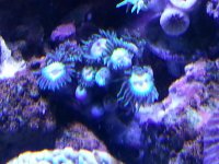 20121210_133217-822666797.jpg