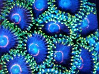 20121207_0816191106731830.jpg