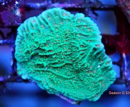 FRAG SWAP 2012 207.JPG