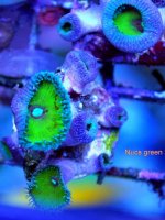 FRAG SWAP 2012 210.jpg