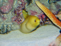 IMG_3731.JPG