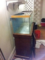 tank and stand side view.jpg