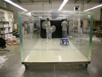 HUGE ACRYLIC TANK.jpg