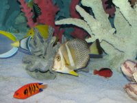 IMG_3740.JPG