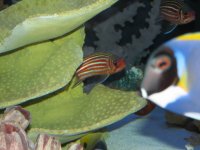 IMG_3743.JPG