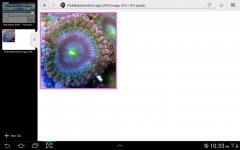 Screenshot_2012-12-13-22-33-41-482466233.jpg