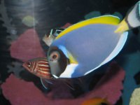 IMG_3744.JPG