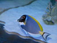 IMG_3747.JPG