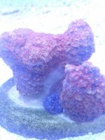 IMG_20120728_001523.jpg