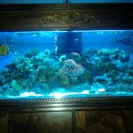 IMG_20120709_175200-1953153458.jpg