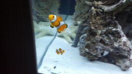 2012-05-05_16-43-30_434.jpg