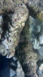 2012-05-06_18-50-23_690.jpg