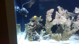 2012-05-06_17-58-31_843.jpg