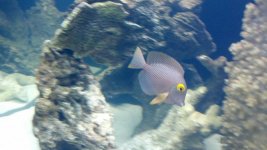2012-05-05_16-55-18_671.jpg
