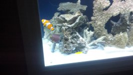 2012-05-06_13-53-39_977.jpg