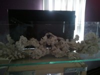 2013-04-11 16.59.16.jpg