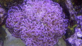 20130411_183429.jpg