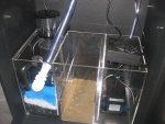 IMG_0529.jpg