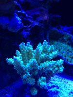 photo (15).jpg