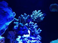 photo (6).jpg