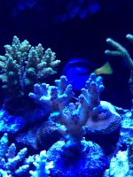 photo (12).jpg