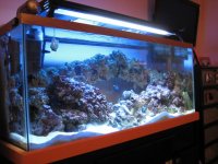 IMG_0109.jpg
