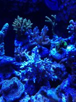 photo (14).jpg
