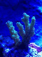photo (7).jpg