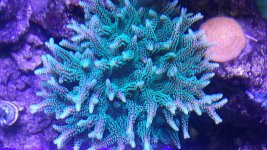 20130412_193140.jpg