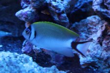 IMG_9671.jpg