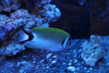 IMG_9682.jpg