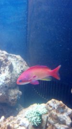 2012-10-22_20-58-57_396.jpg