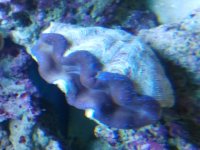 2012-09-10 17.29.23.jpg