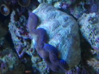 2012-09-10 17.29.44.jpg